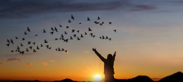 girl raise hand up on sunset with birds flying in sky.